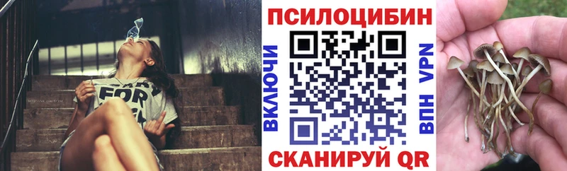 Псилоцибиновые грибы GOLDEN TEACHER  omg   Можайск  даркнет сайт 