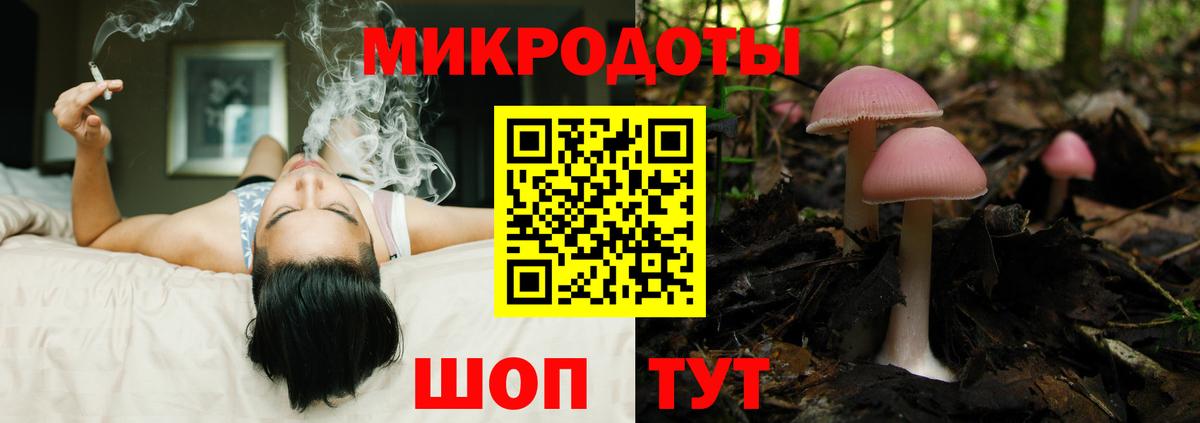 Можайск  Галлюциногенные грибы прущие грибы  Вход с VPN  Псилоцибиновые грибы Psilocybe 