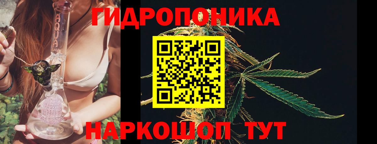 Конопля гибрид Можайск